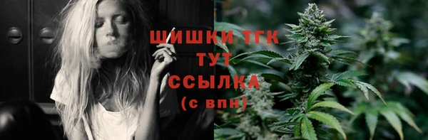 бошки Бронницы