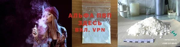 ECSTASY Бородино