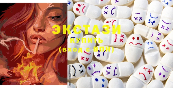ECSTASY Бородино