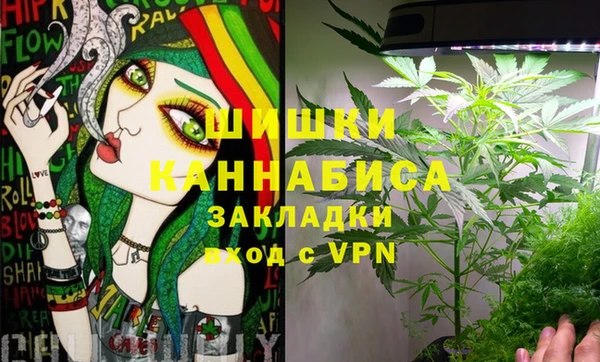 бошки Бронницы