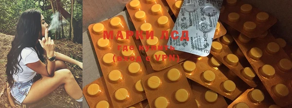 бошки Бронницы